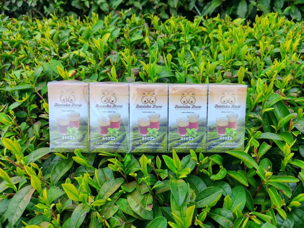 Bantaba Brew Premium Green Tea – Pack of 10 (25g Each)