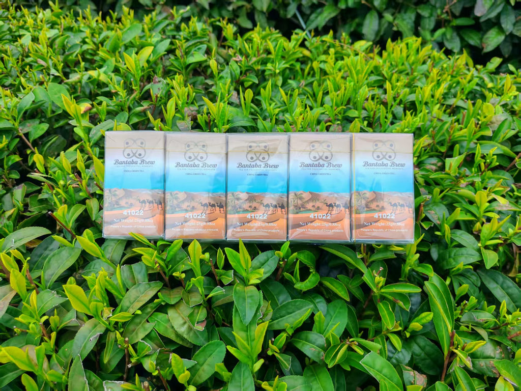 Bantaba Brew Premium Green Tea – Pack of 10 (25g Each)