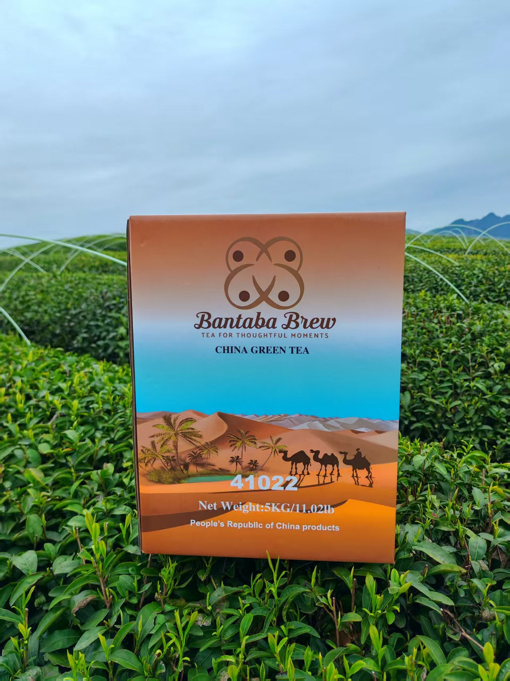 Bantaba Brew Premium Green Tea – Single Export Carton