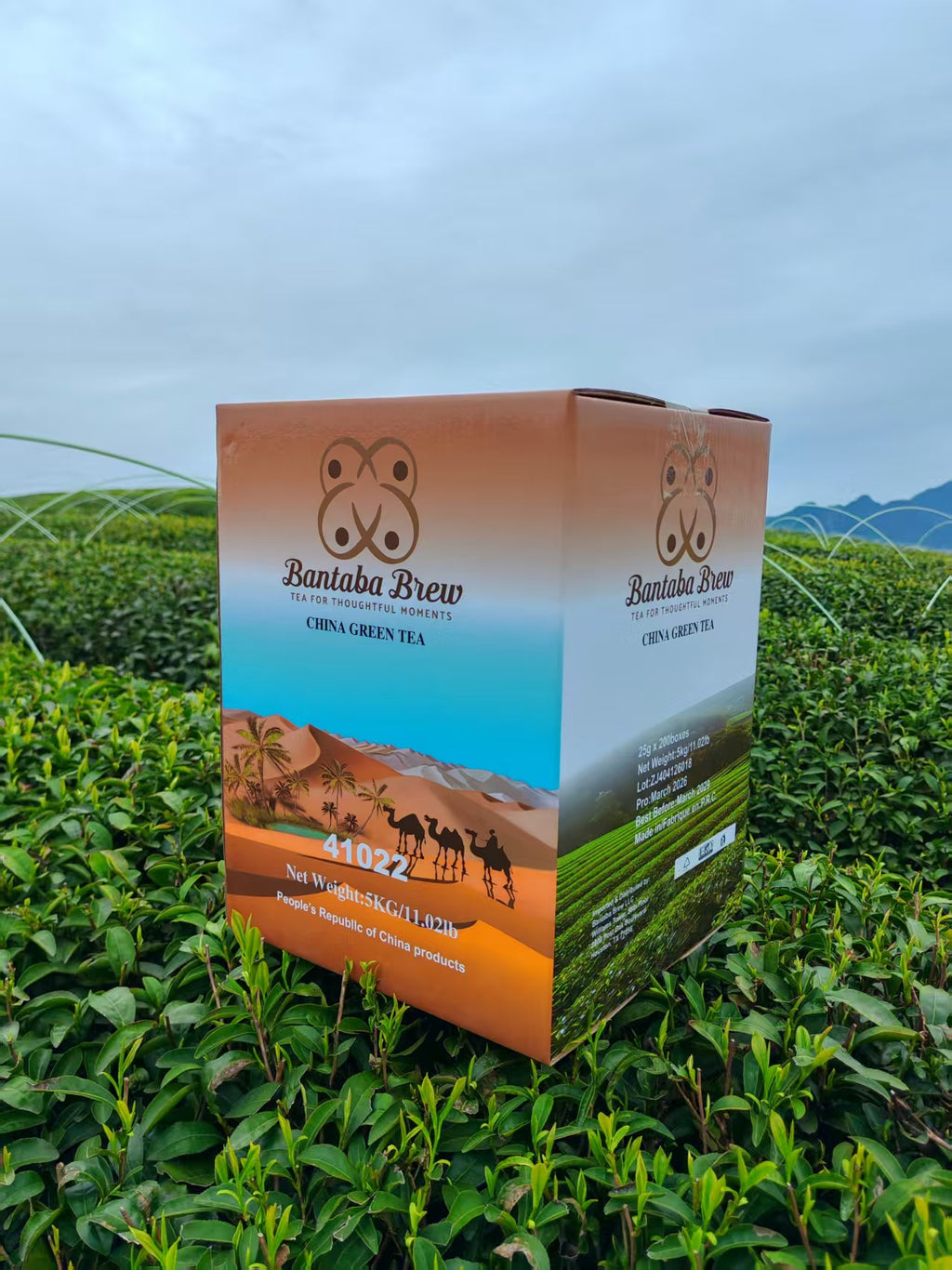 Bantaba Brew Premium Green Tea – Single Export Carton