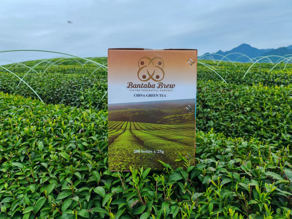 Bantaba Brew Premium Green Tea – Single Export Carton