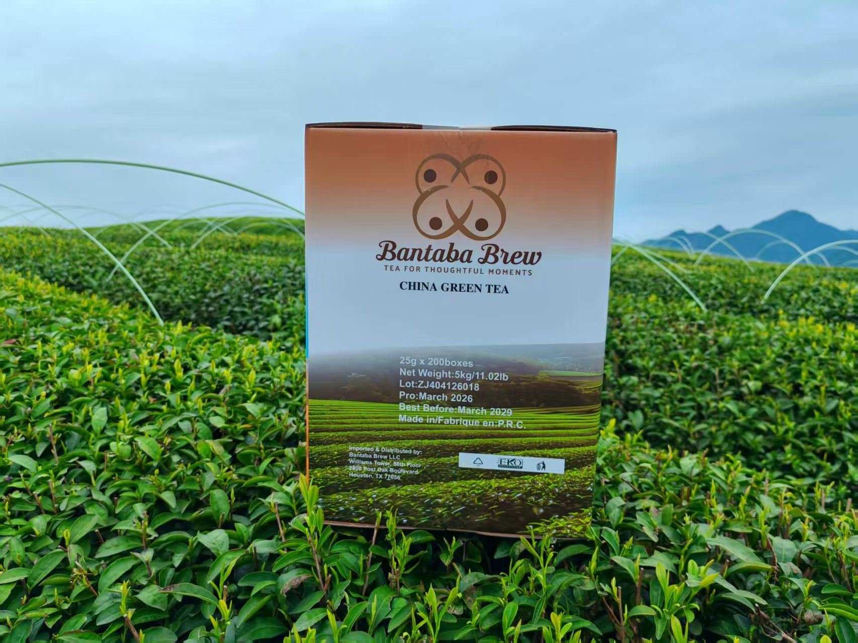Bantaba Brew Premium Green Tea – Single Export Carton