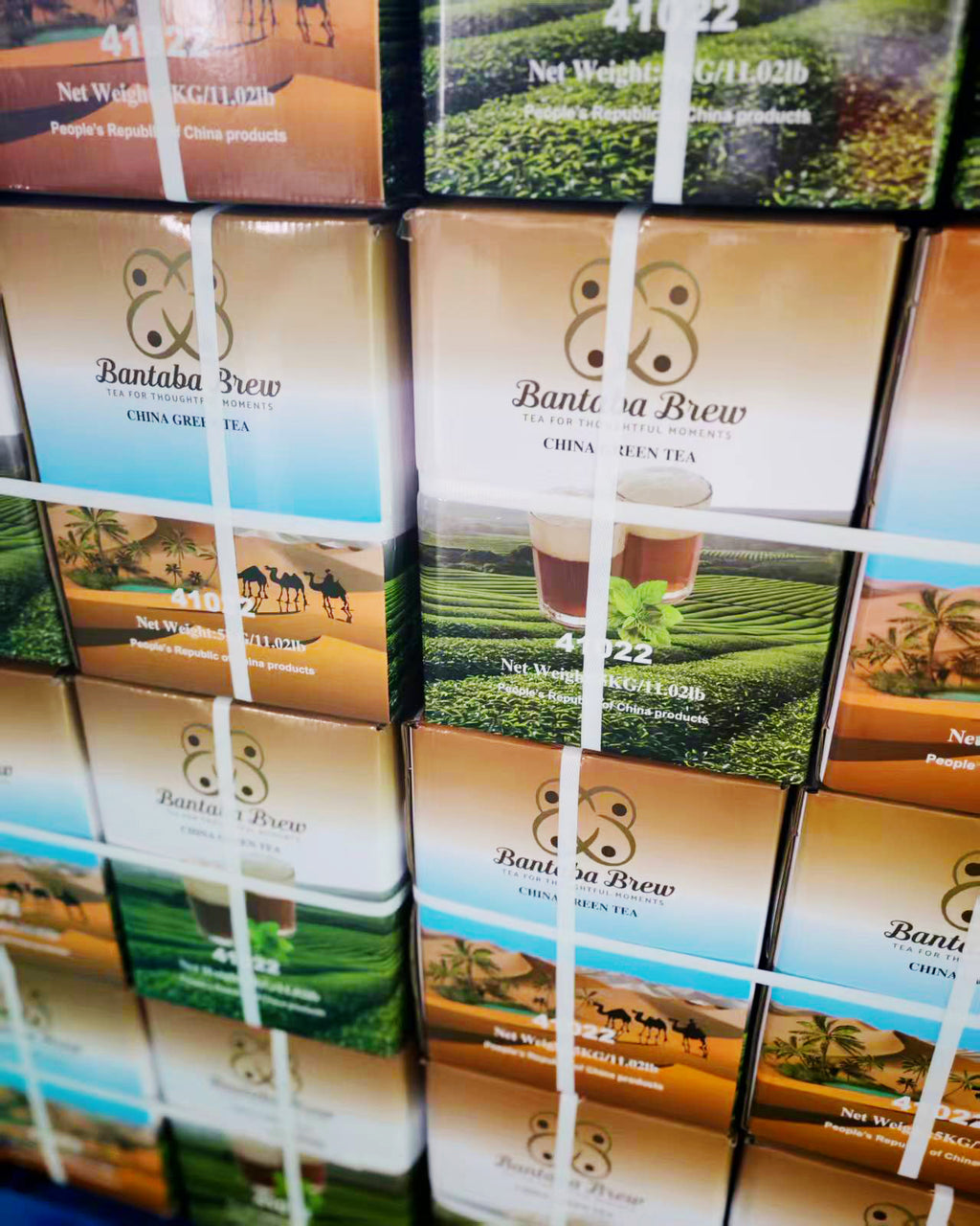 Bantaba Brew Premium Green Tea – Bulk Bundle (4 Cartons)